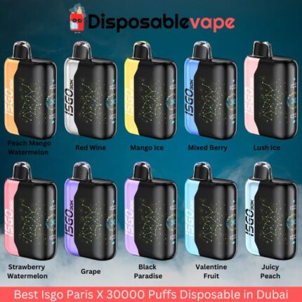 Best Isgo Paris X 30000 Puffs Disposable in Dubai.jpg