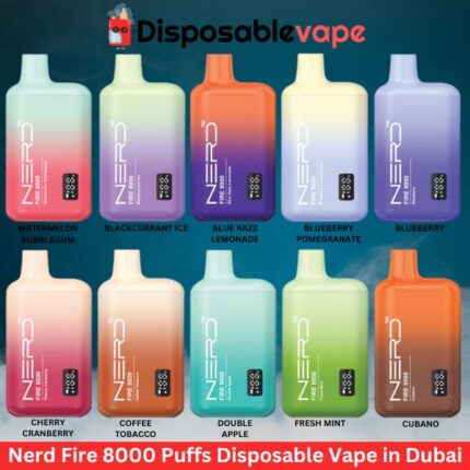 Nerd Fire 8000 Puffs Disposable Best Vape in Dubai