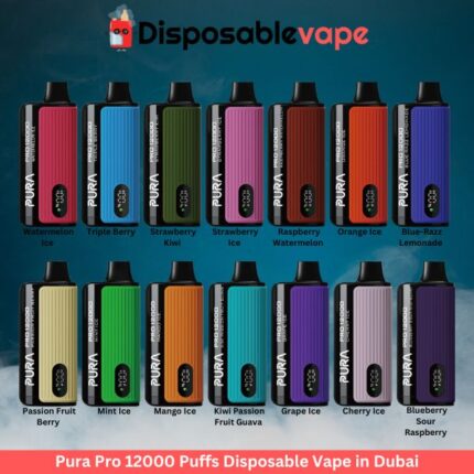 Pura Pro 12000 Puffs Disposable Vape in Dubai.jpg